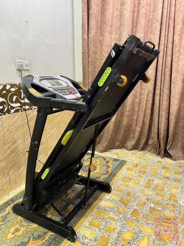 جبلي فرنسي للبيع في عموم العراق