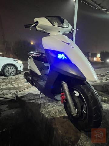 ثعلب 140 لون أحمر وأبيض أحمر وأبيض صدفي للبيع في بغداد