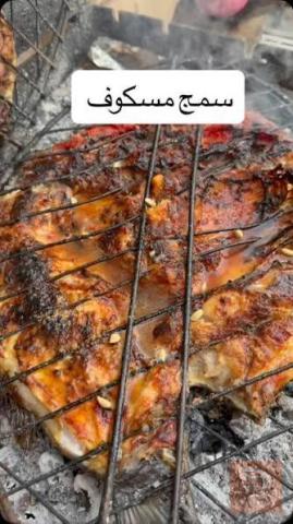 خلفة سمك مسگوف — بغداد
