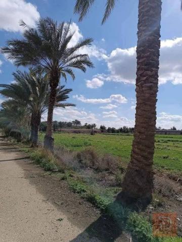 أرض 10 دوانم للبيع في بغداد