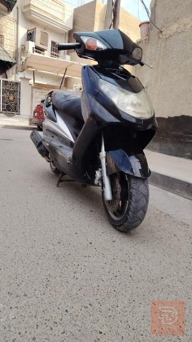 دراجة سكنس فحل جديدة للبيع في بغداد