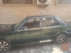 بيم زعرة زيتوني للبيع في بغداد