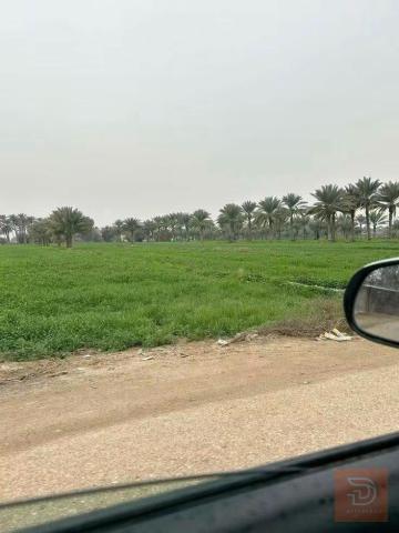أرض 8 دوانم بسند مستغل على شارع العيساويه للبيع في بغداد