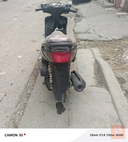 سكنز فحل نوزل للبيع في بغداد