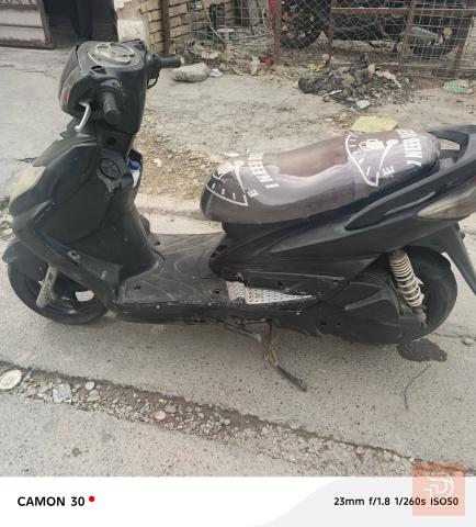 سكنز فحل نوزل للبيع في بغداد