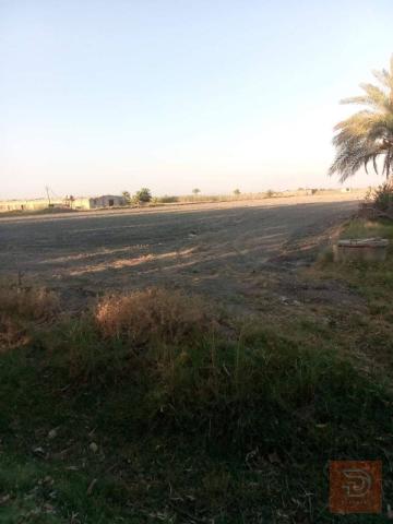 أرض 15دونم للبيع في بغداد