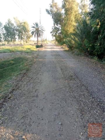 أرض 15دونم للبيع في بغداد