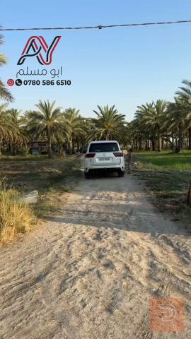 أرض طابو صرف في أبو غريب 10 دونم للبيع في بغداد