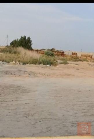 قطعة ارض وقف سني مسجلة اصوليا 400 للبيع في البصرة