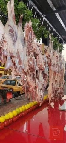 شيف عام للمشويات — بغداد