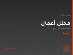 محلل أعمال — مجموعة شركات مارينا — بغداد