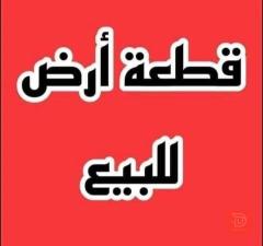 ارض ملك صرف بمساحة 236 متر للبيع في ديالى