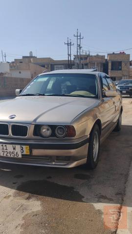 بجم عجم عريض 1991 للبيع في واسط