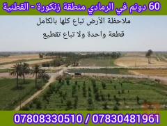 أرض زراعية 60 دونم للبيع في الأنبار