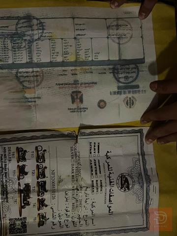 دراجة 4 كير لون ابيض 2026 للبيع في ديالى