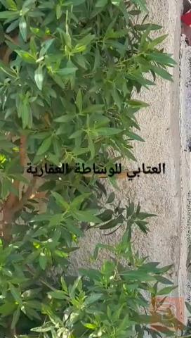 مشتمل للايجار في بغداد