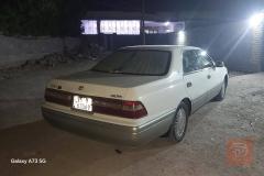 راس الثور موديل 94 للبيع في ذي قار
