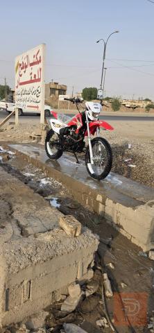 كاويار 2025 للبيع في بغداد