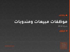 موظفات مبيعات ومندوبات — نينوى