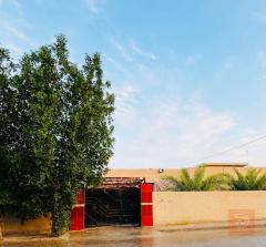 بيت في الشهابي للبيع في الأنبار