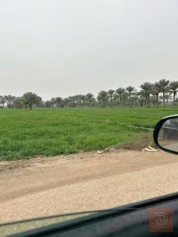 ارض في منطقة العيساوية للبيع في بغداد