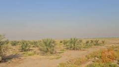 بستان طابو زراعي 10 دونم للبيع في كربلاء المقدسة