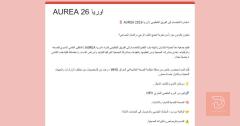 فريق تنظيمي — بغداد