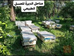 عسل طبيعي درجة أولى 1 كيلو للبيع في عموم العراق