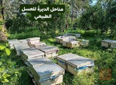 عسل طبيعي درجة أولى 1 كيلو للبيع في عموم العراق