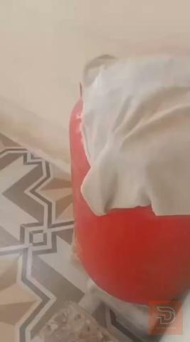 بيت طابو زراعي مساحة 120 للبيع في البصرة