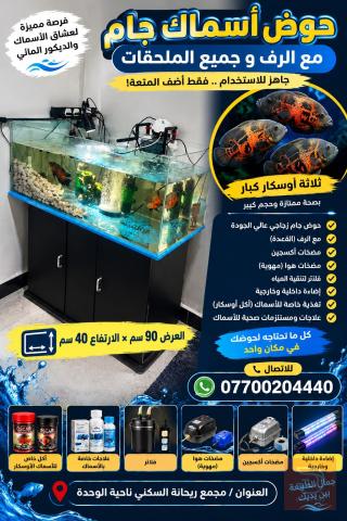 حوض أسماك جام كامل مع الرف والأسماك 90 سم × 40 سم للبيع في بغداد