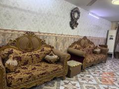 تخم ملكي للبيع في بغداد