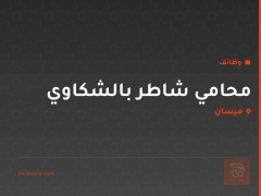 محامي شاطر بالشكاوي — ميسان
