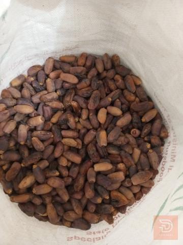 ديري أكل للبيع في عموم العراق