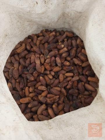 ديري أكل للبيع في عموم العراق