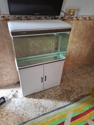 حوض سمك بوفيت قياس ٨٠ مستعمل للبيع في عموم العراق