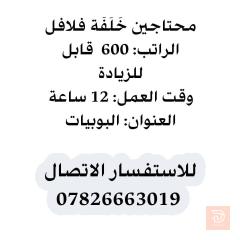 خلفه فلافل — كربلاء المقدسة