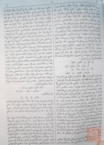 كتاب لسان العرب لابن منظور 18 جزءا في 9 مجلدات للبيع في عموم العراق