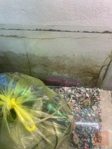 حوض سمك مع الأجهزة عرض ٥٠ للبيع في بغداد