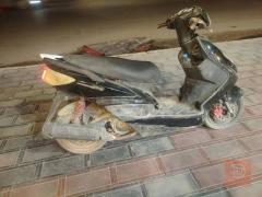 دراجه سكنس فحل نوزل خطين للبيع في بغداد