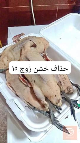 زوج حذاف خشن ومنضف صيد جديد للبيع في ميسان