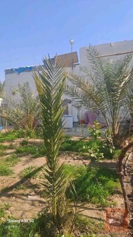 600متر بيهه بيت قرب جامعه وارث طريق بغداد