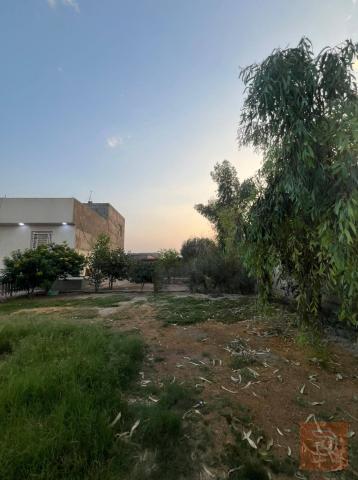 قطعة أرض مع دارين سكن 1350 متر في البصرة