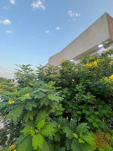 قطعة أرض مع دارين سكن 1350 متر في البصرة