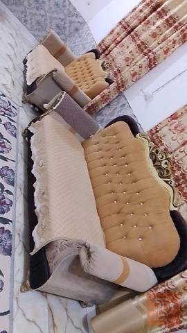 تخم للبيع في بغداد