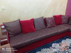تخم ديوان للبيع في ذي قار
