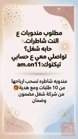 مندوبات ع النت
