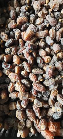 تمر بريم 1 كغم للبيع في عموم العراق