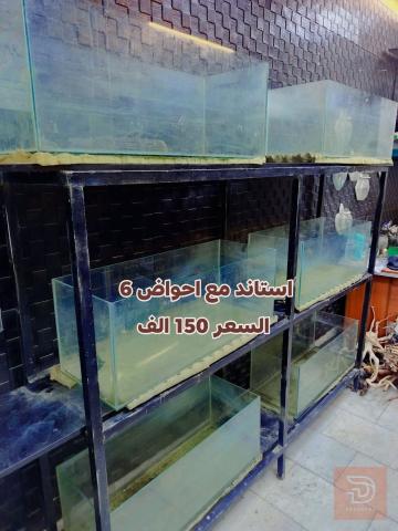 استاندات مع احواض عدد 6 للبيع في بغداد