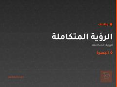 الرؤية المتكاملة — البصرة